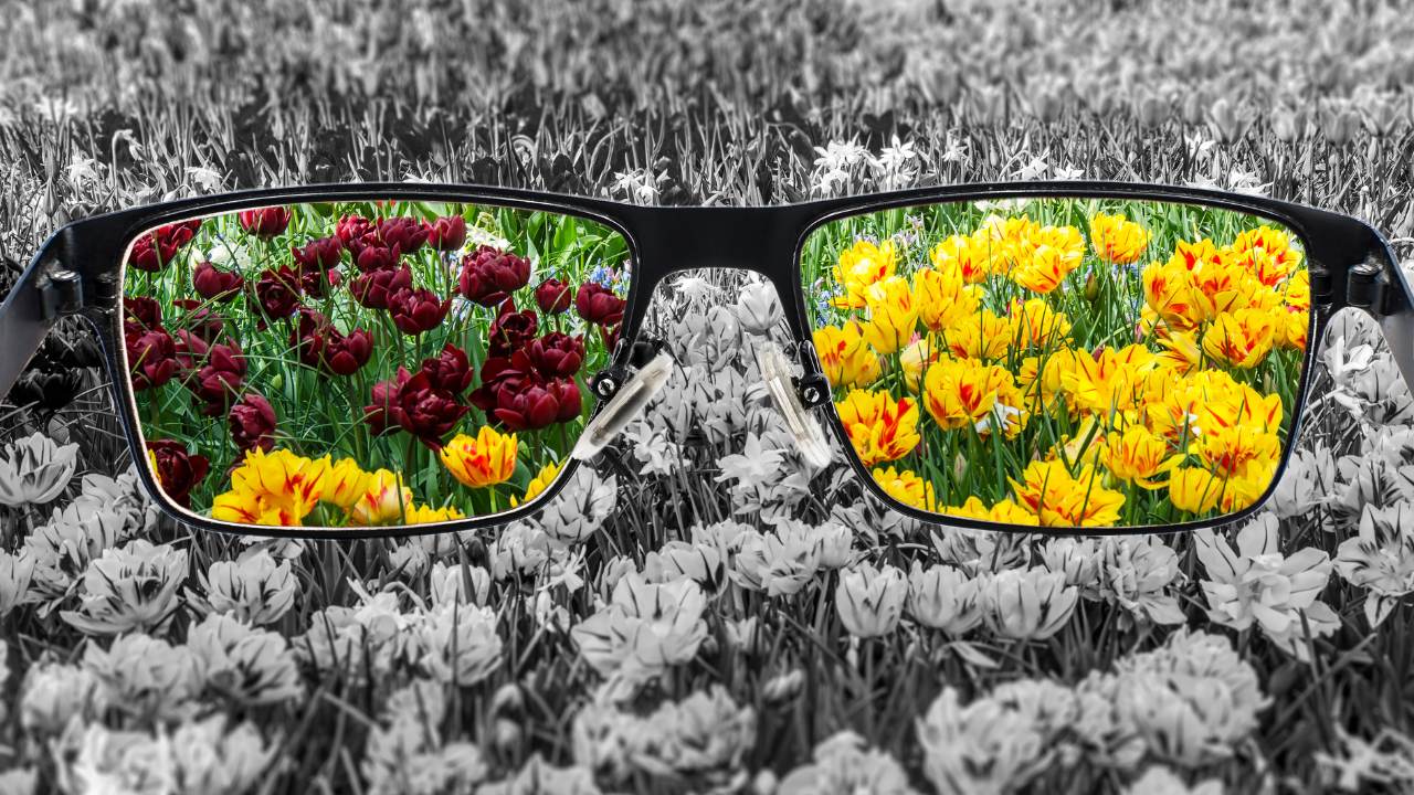 Wahrnehmung – Definition, Bedeutung und Wichtigkeit 