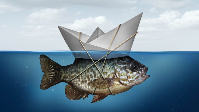 self-optimization mania