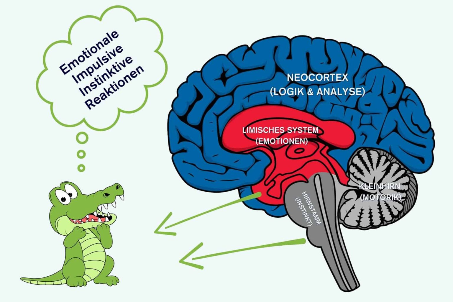 Why change fails. The crocodile in the head